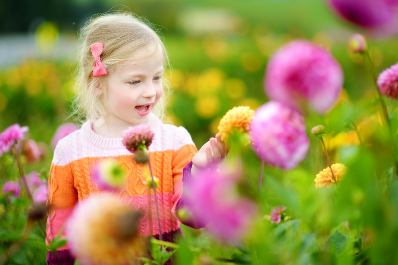 Zomerbollen planten met de kids: dit zijn de leukste combi’s